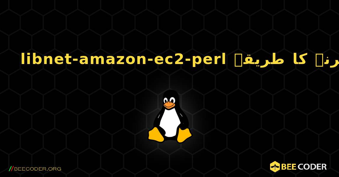 libnet-amazon-ec2-perl  انسٹال کرنے کا طریقہ. Linux