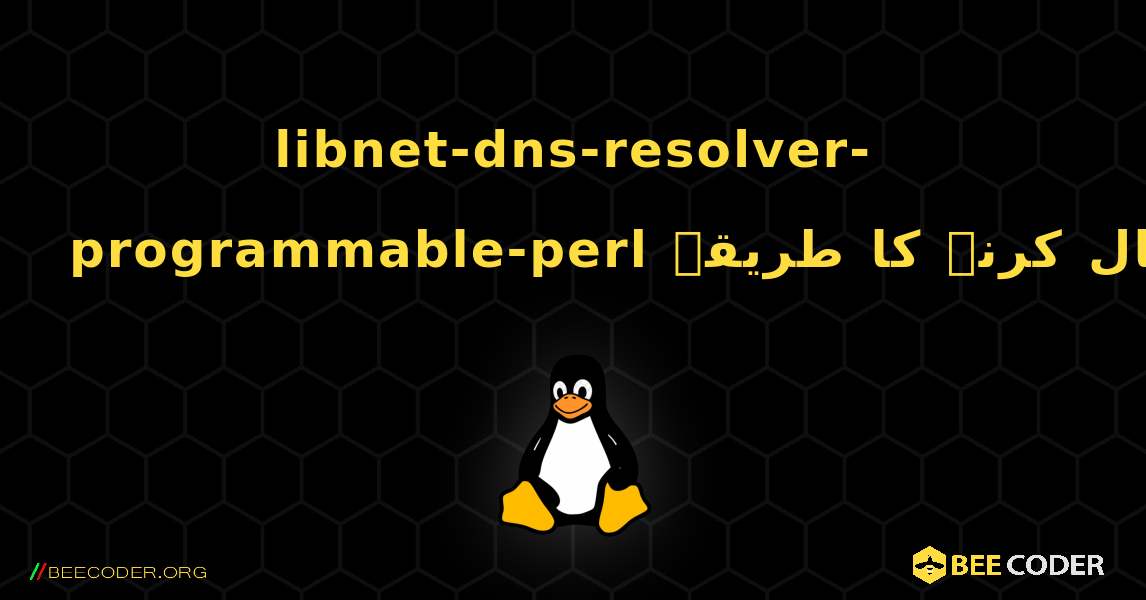 libnet-dns-resolver-programmable-perl  انسٹال کرنے کا طریقہ. Linux