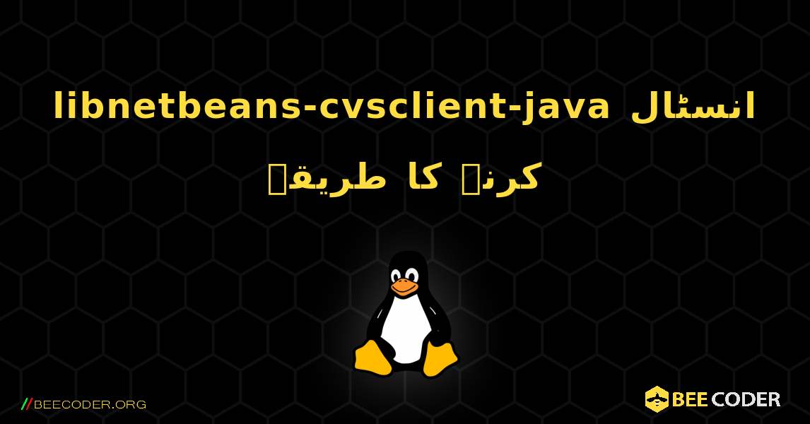 libnetbeans-cvsclient-java  انسٹال کرنے کا طریقہ. Linux