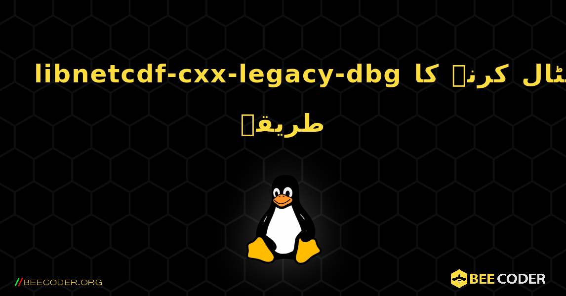 libnetcdf-cxx-legacy-dbg  انسٹال کرنے کا طریقہ. Linux