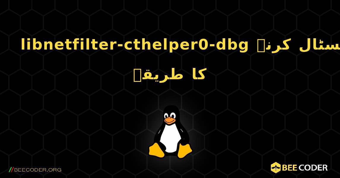 libnetfilter-cthelper0-dbg  انسٹال کرنے کا طریقہ. Linux