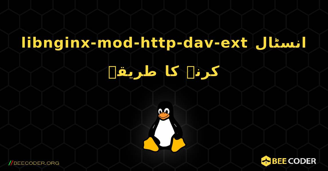 libnginx-mod-http-dav-ext  انسٹال کرنے کا طریقہ. Linux