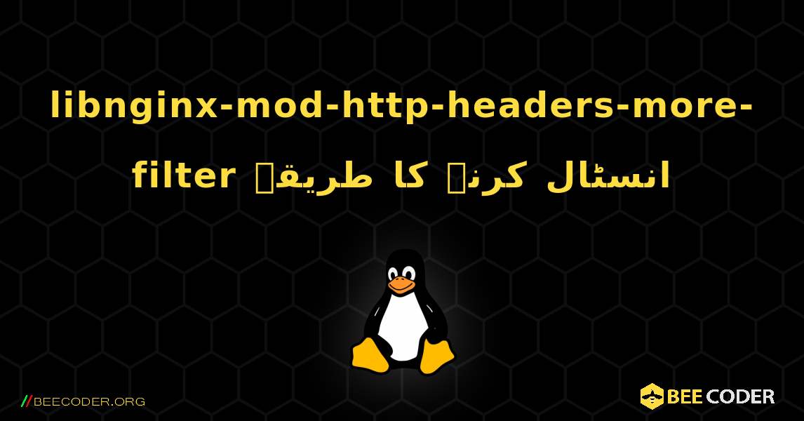 libnginx-mod-http-headers-more-filter  انسٹال کرنے کا طریقہ. Linux
