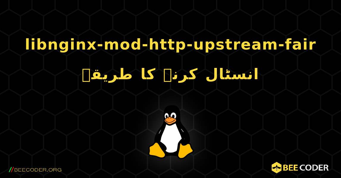 libnginx-mod-http-upstream-fair  انسٹال کرنے کا طریقہ. Linux