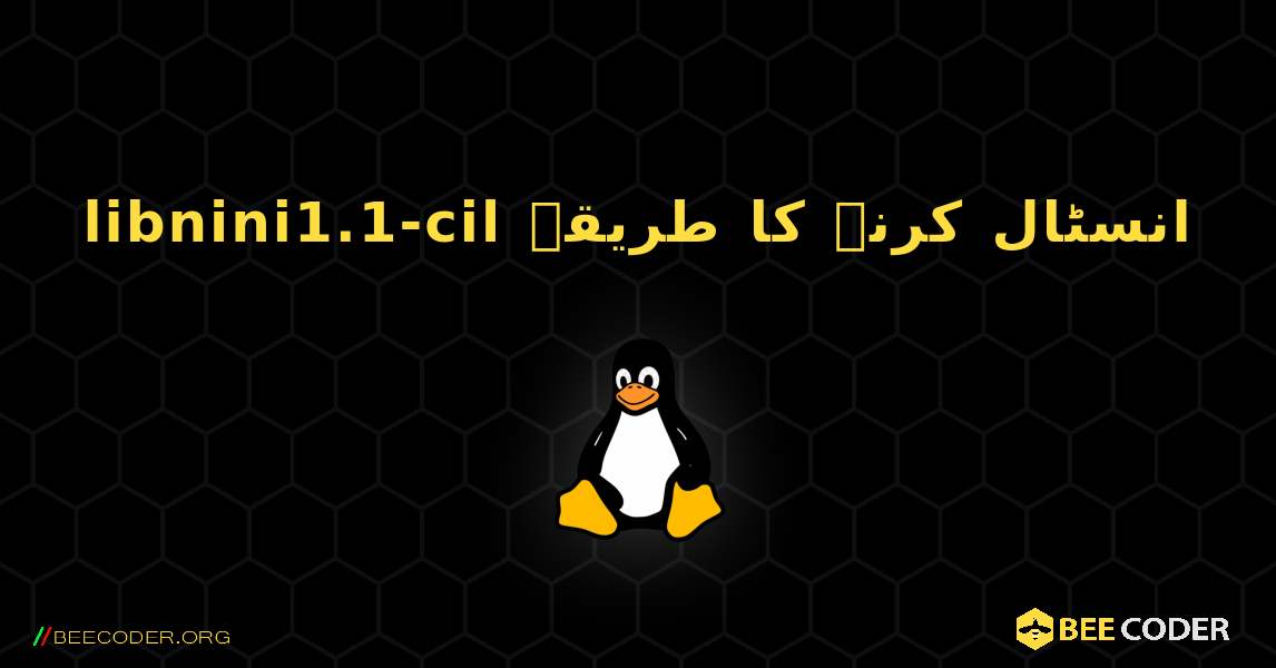 libnini1.1-cil  انسٹال کرنے کا طریقہ. Linux