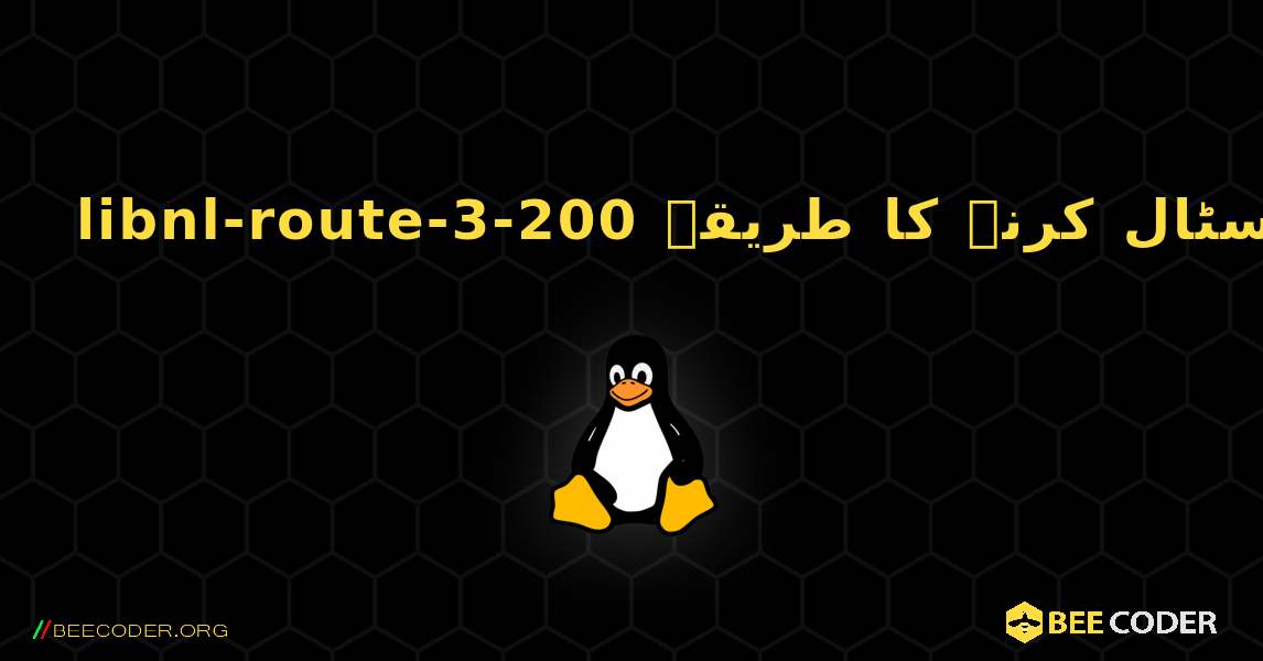 libnl-route-3-200  انسٹال کرنے کا طریقہ. Linux