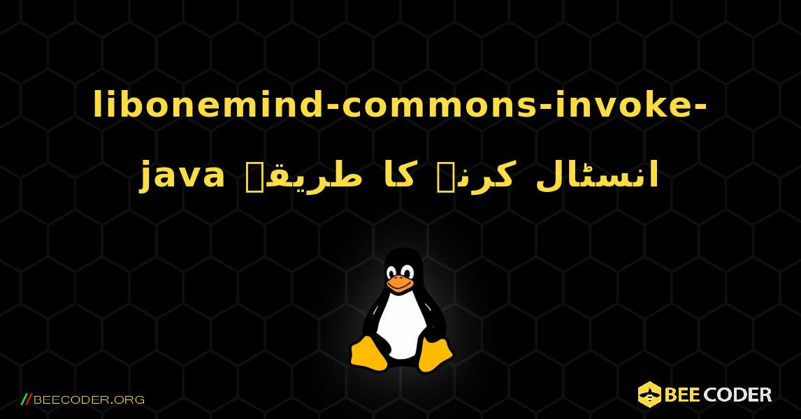 libonemind-commons-invoke-java  انسٹال کرنے کا طریقہ. Linux