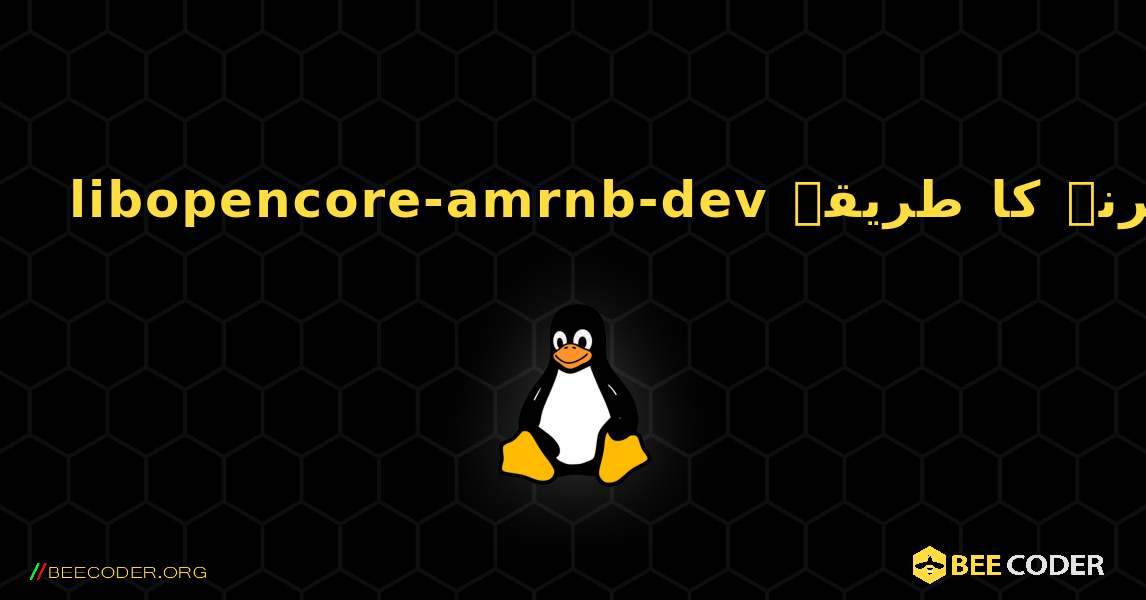 libopencore-amrnb-dev  انسٹال کرنے کا طریقہ. Linux