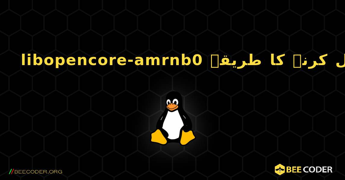 libopencore-amrnb0  انسٹال کرنے کا طریقہ. Linux