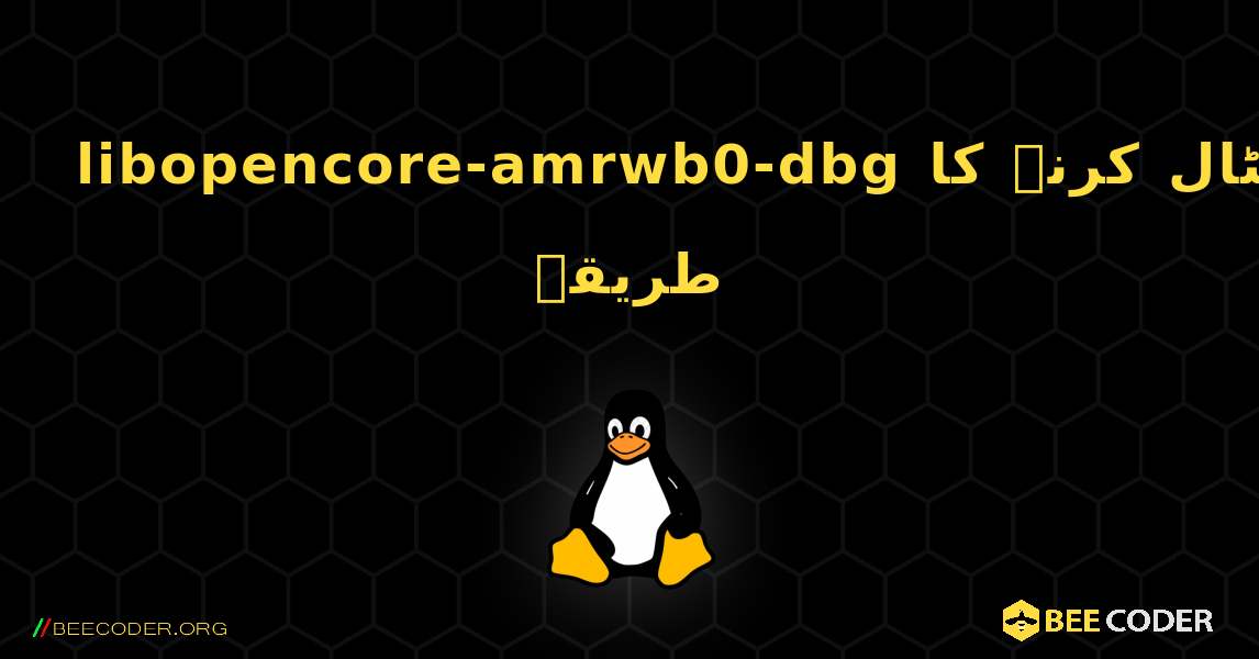 libopencore-amrwb0-dbg  انسٹال کرنے کا طریقہ. Linux