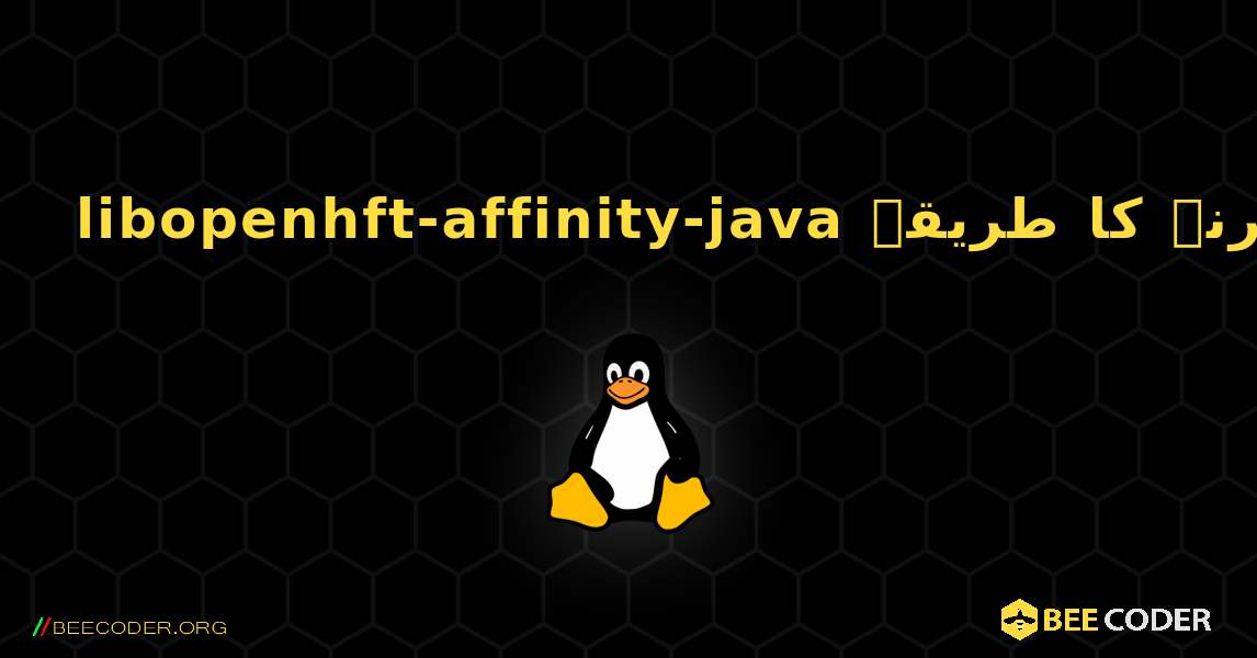 libopenhft-affinity-java  انسٹال کرنے کا طریقہ. Linux