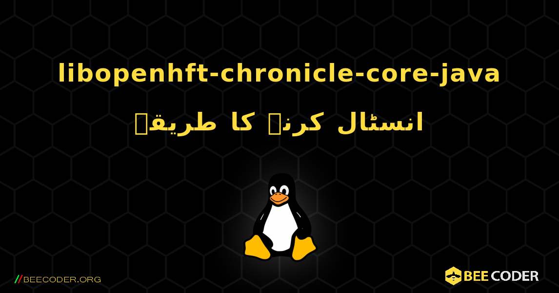 libopenhft-chronicle-core-java  انسٹال کرنے کا طریقہ. Linux