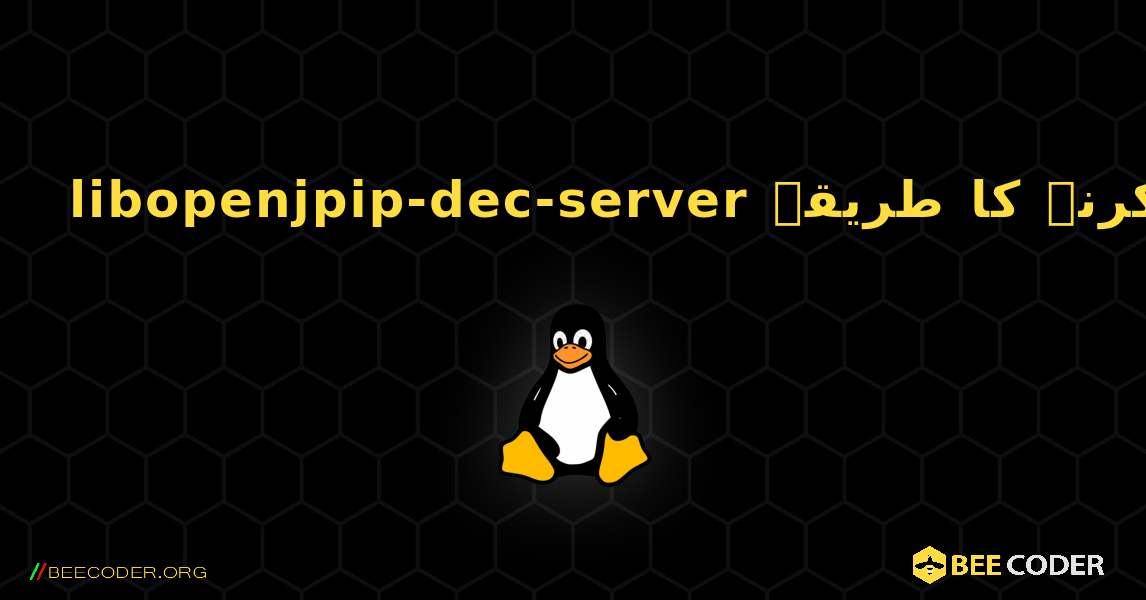 libopenjpip-dec-server  انسٹال کرنے کا طریقہ. Linux