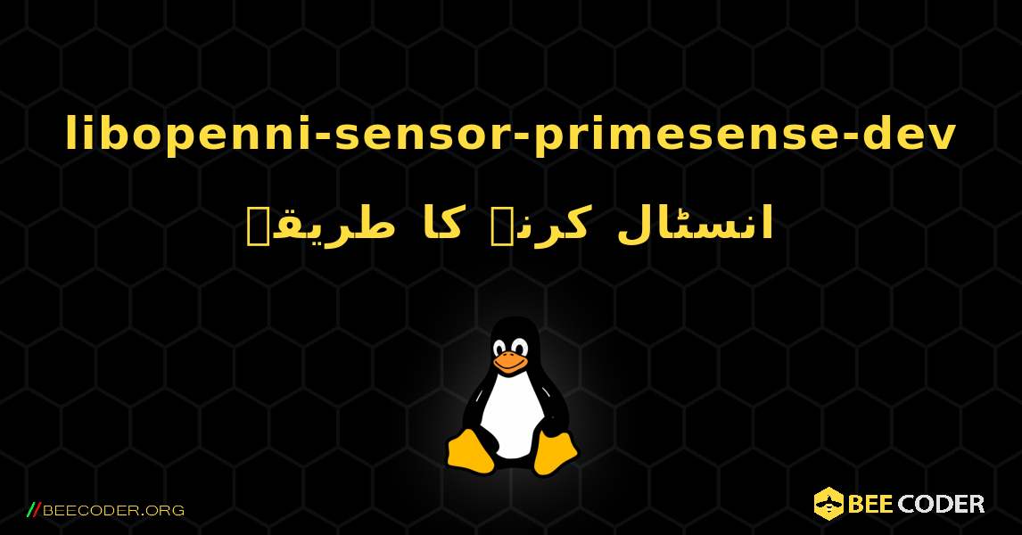 libopenni-sensor-primesense-dev  انسٹال کرنے کا طریقہ. Linux