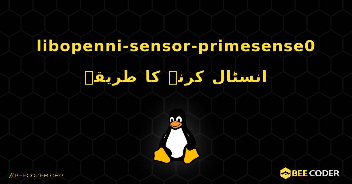 libopenni-sensor-primesense0  انسٹال کرنے کا طریقہ. Linux