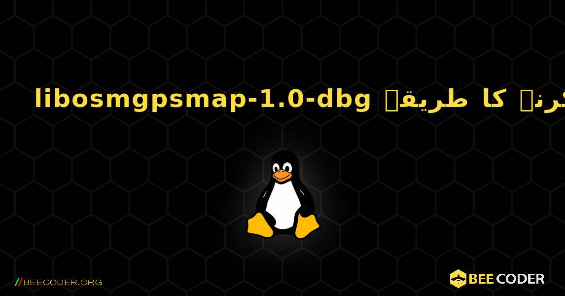 libosmgpsmap-1.0-dbg  انسٹال کرنے کا طریقہ. Linux