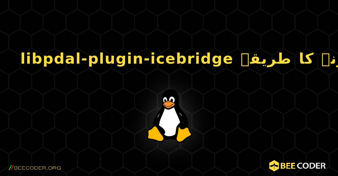 libpdal-plugin-icebridge  انسٹال کرنے کا طریقہ. Linux