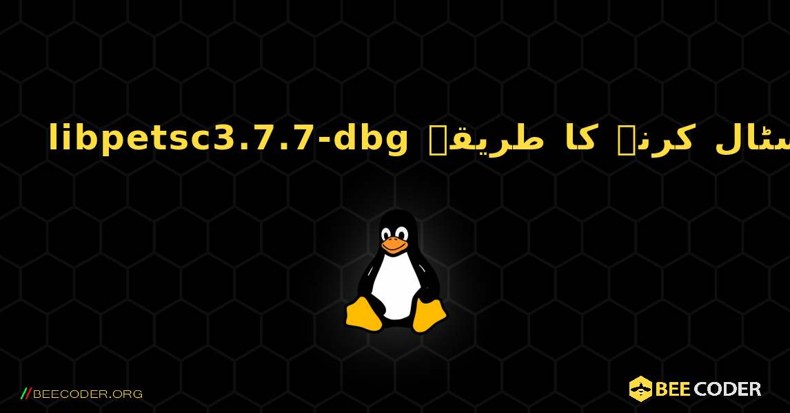 libpetsc3.7.7-dbg  انسٹال کرنے کا طریقہ. Linux