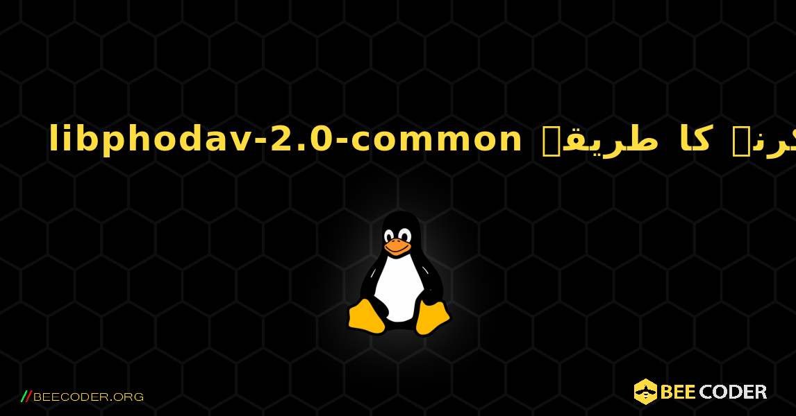 libphodav-2.0-common  انسٹال کرنے کا طریقہ. Linux