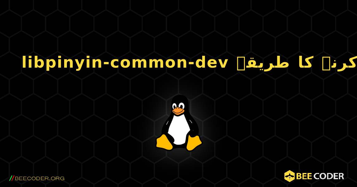 libpinyin-common-dev  انسٹال کرنے کا طریقہ. Linux