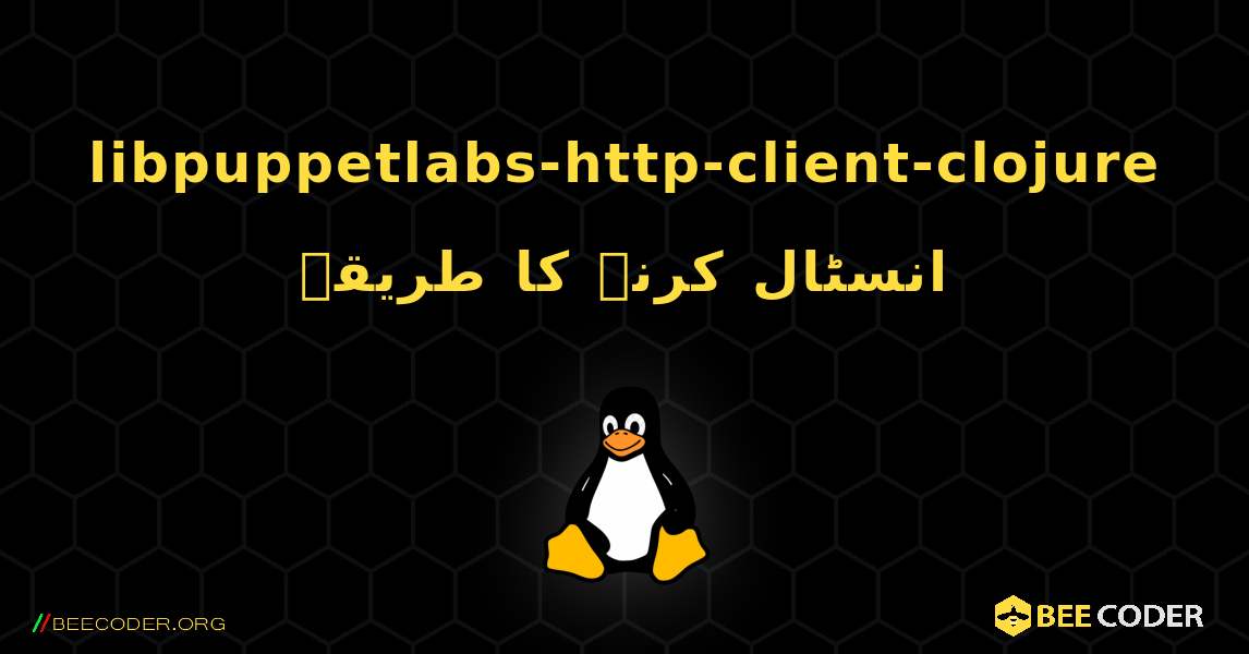 libpuppetlabs-http-client-clojure  انسٹال کرنے کا طریقہ. Linux