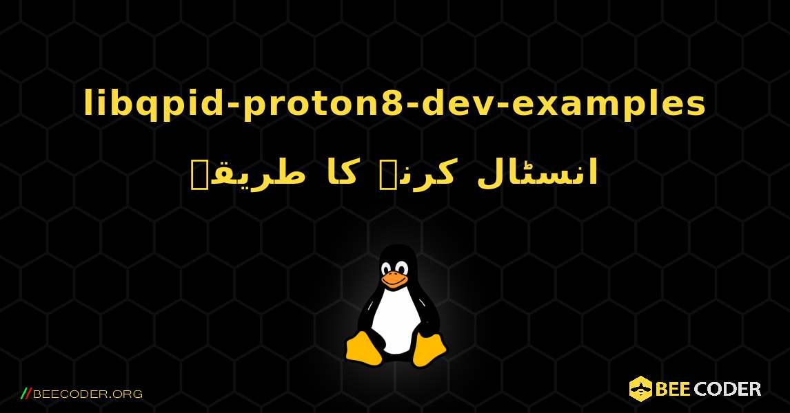 libqpid-proton8-dev-examples  انسٹال کرنے کا طریقہ. Linux