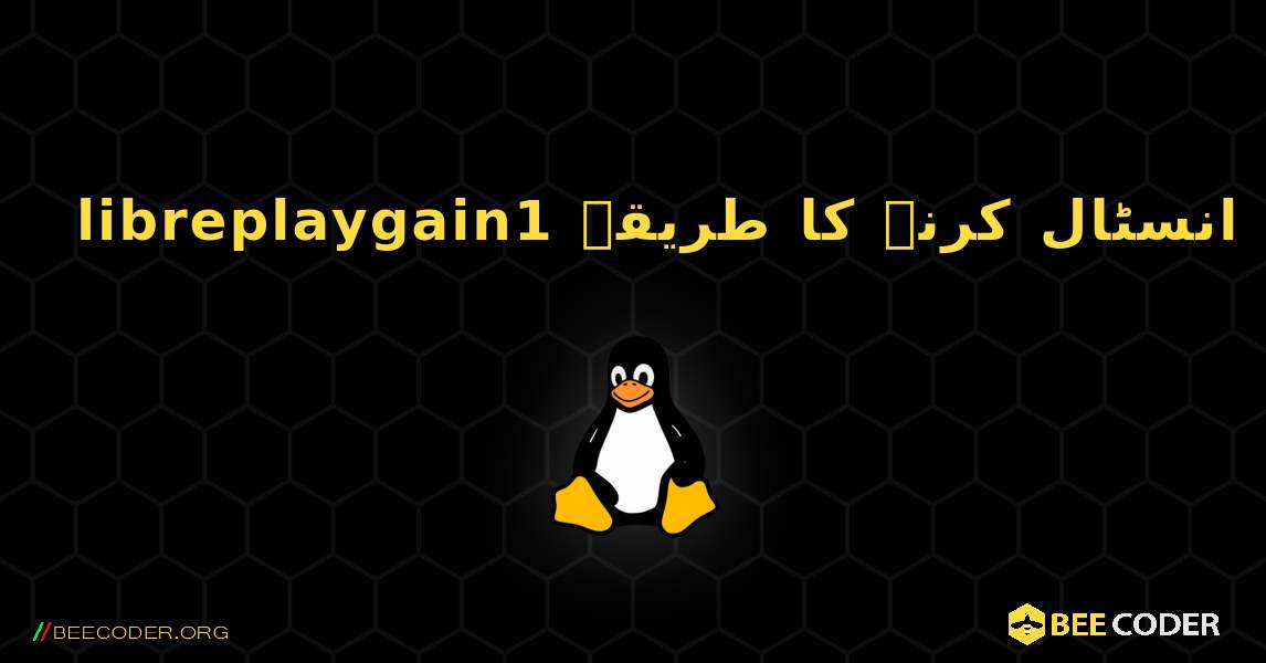 libreplaygain1  انسٹال کرنے کا طریقہ. Linux