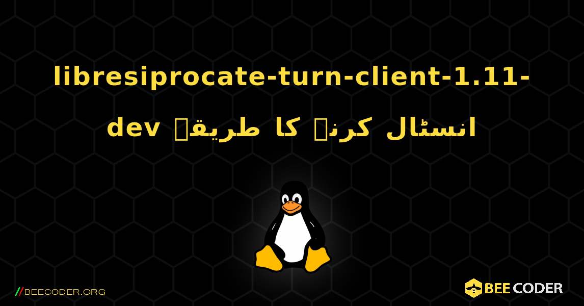 libresiprocate-turn-client-1.11-dev  انسٹال کرنے کا طریقہ. Linux