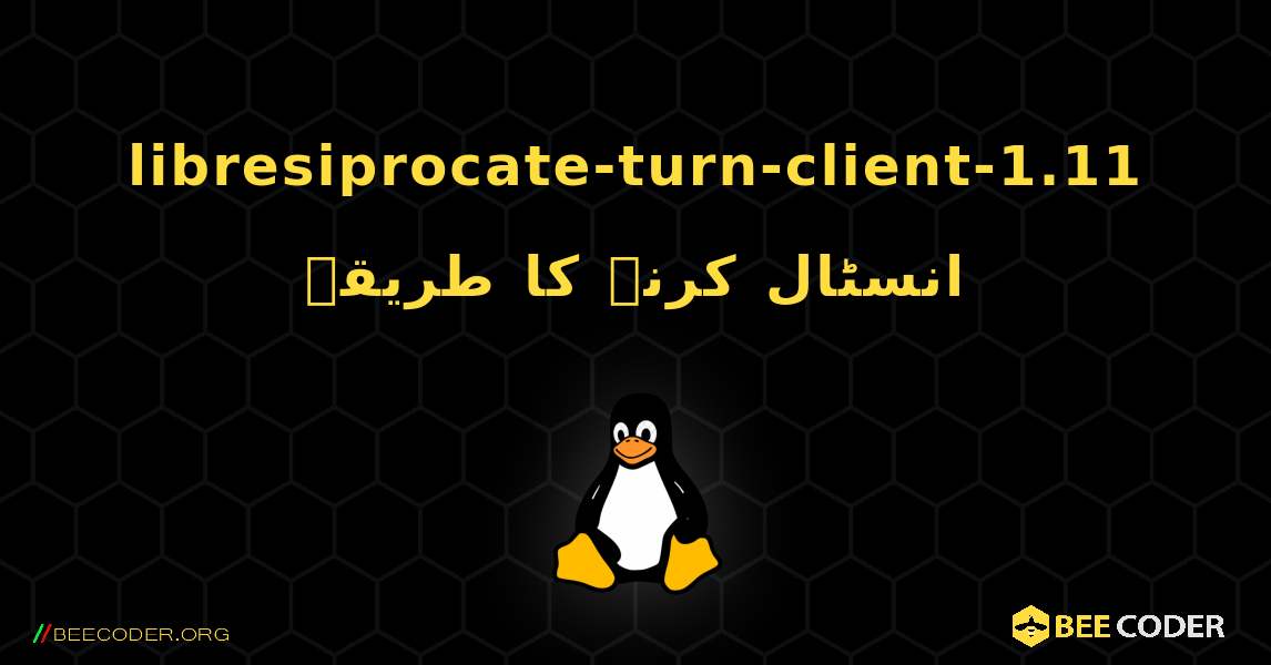 libresiprocate-turn-client-1.11  انسٹال کرنے کا طریقہ. Linux