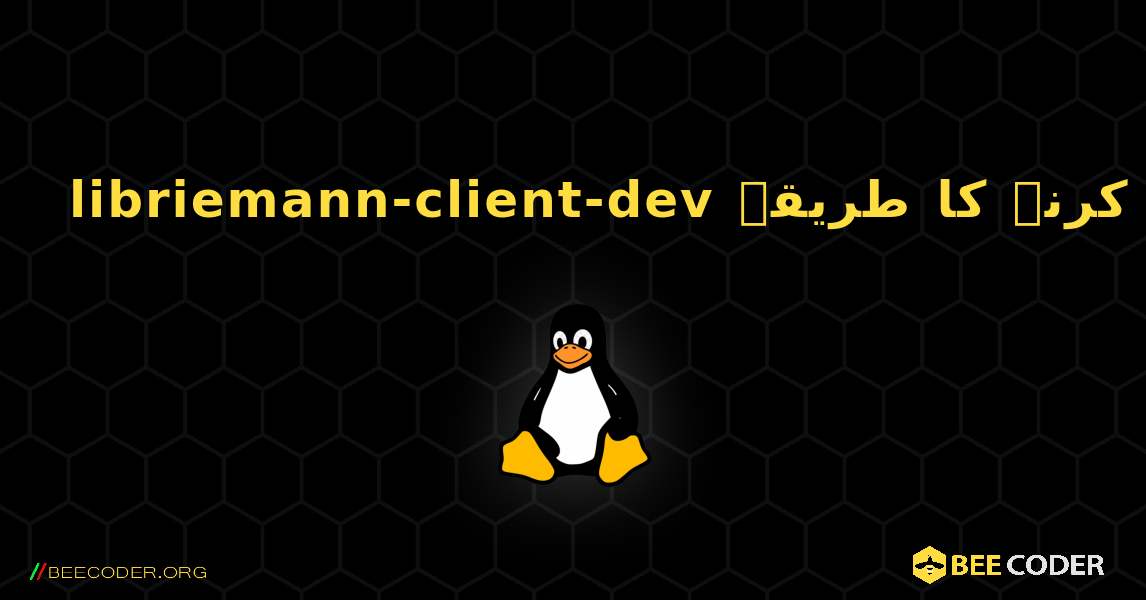 libriemann-client-dev  انسٹال کرنے کا طریقہ. Linux