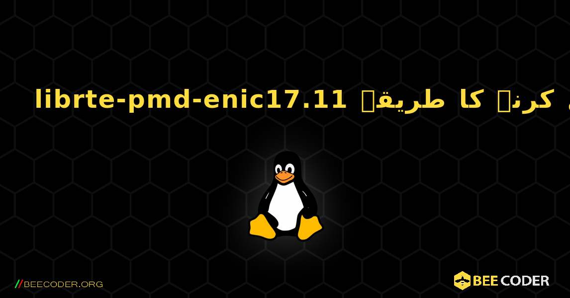 librte-pmd-enic17.11  انسٹال کرنے کا طریقہ. Linux