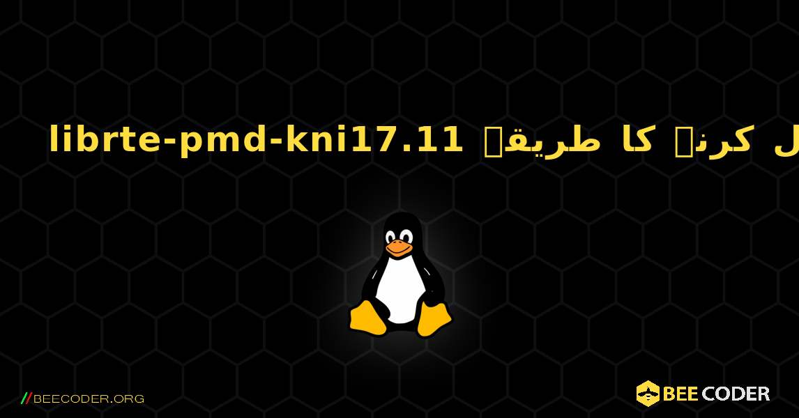 librte-pmd-kni17.11  انسٹال کرنے کا طریقہ. Linux