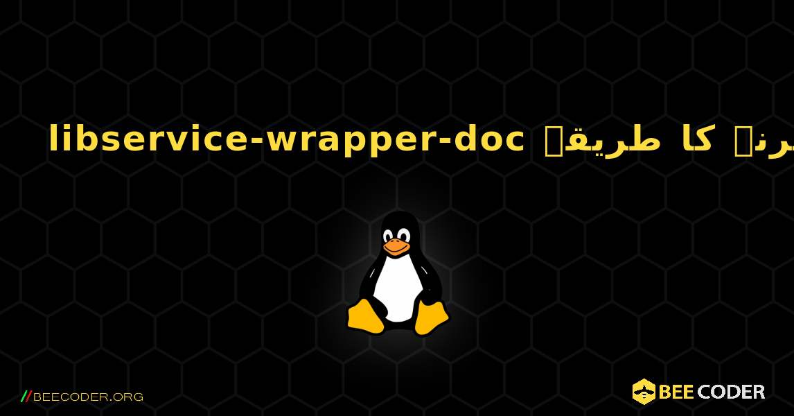 libservice-wrapper-doc  انسٹال کرنے کا طریقہ. Linux