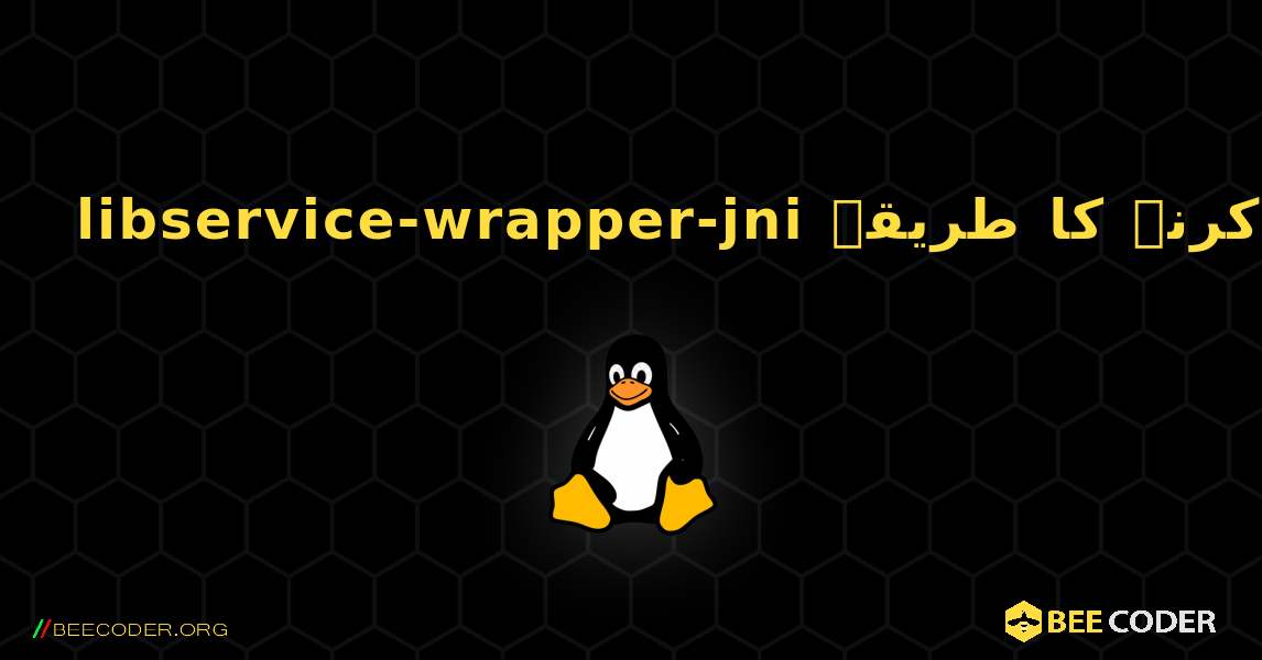 libservice-wrapper-jni  انسٹال کرنے کا طریقہ. Linux