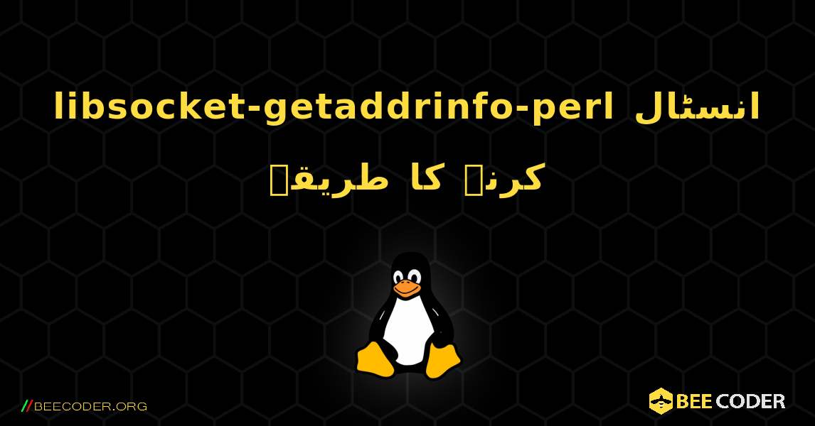 libsocket-getaddrinfo-perl  انسٹال کرنے کا طریقہ. Linux