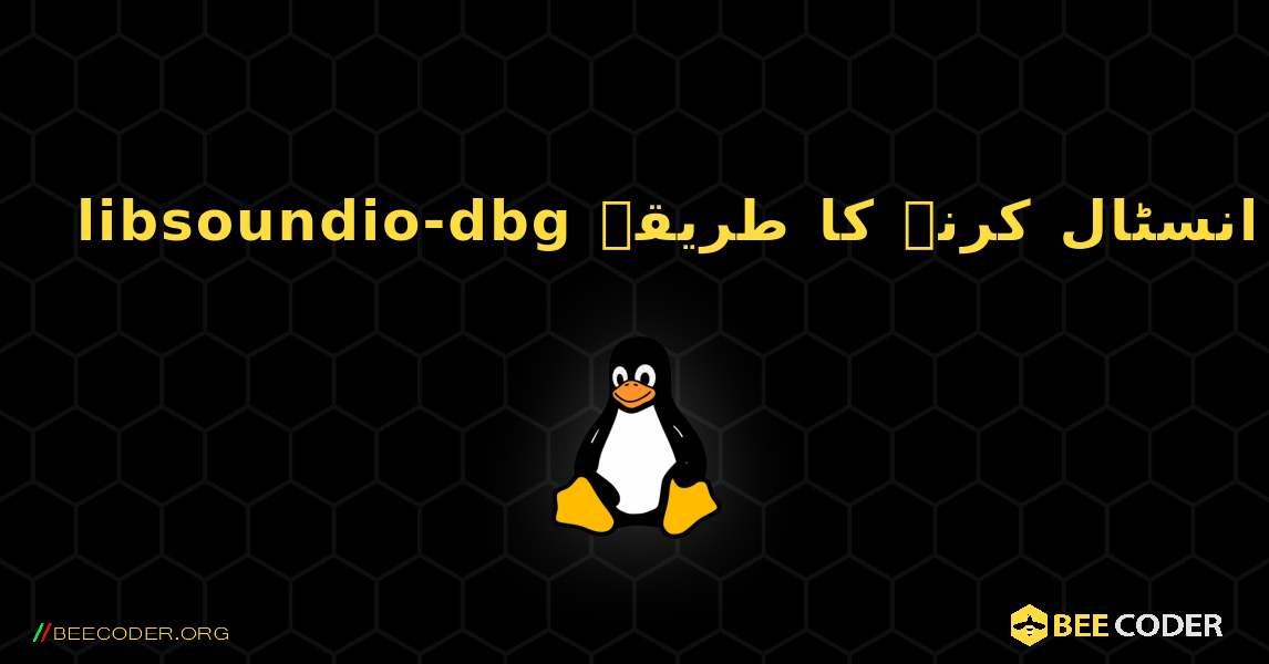 libsoundio-dbg  انسٹال کرنے کا طریقہ. Linux