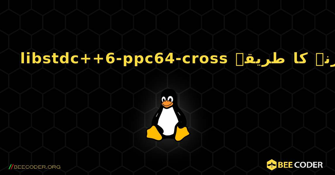 libstdc++6-ppc64-cross  انسٹال کرنے کا طریقہ. Linux