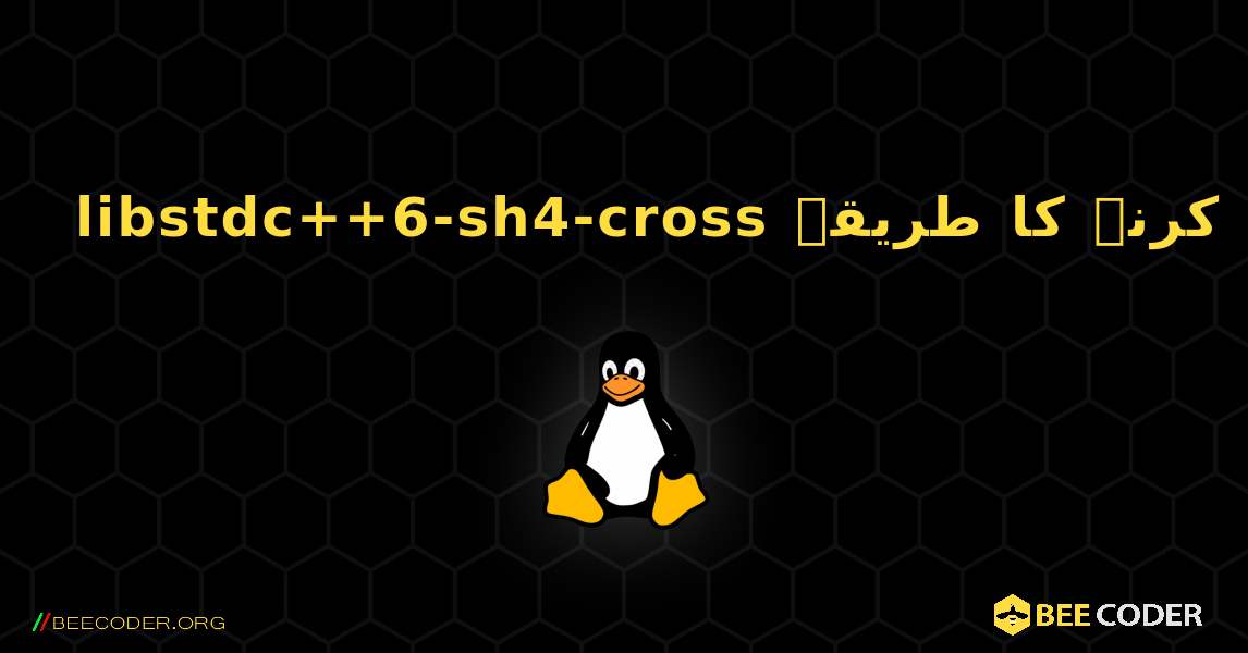 libstdc++6-sh4-cross  انسٹال کرنے کا طریقہ. Linux