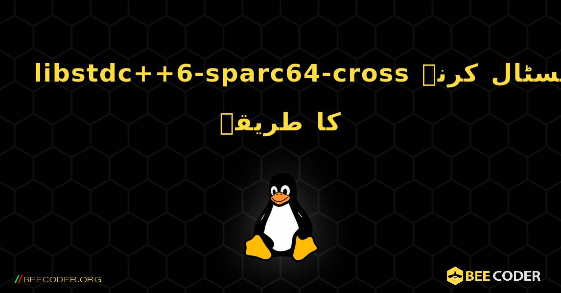 libstdc++6-sparc64-cross  انسٹال کرنے کا طریقہ. Linux