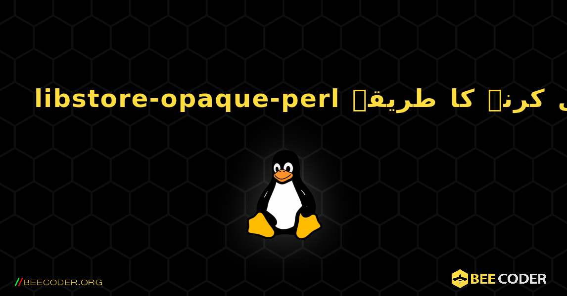 libstore-opaque-perl  انسٹال کرنے کا طریقہ. Linux