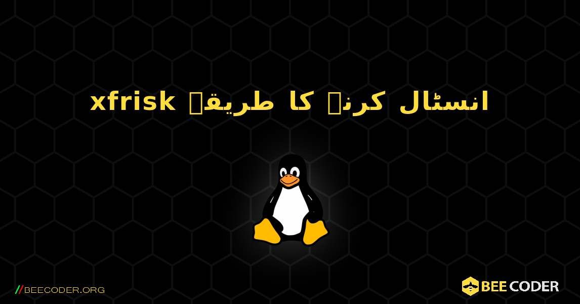 xfrisk  انسٹال کرنے کا طریقہ. Linux