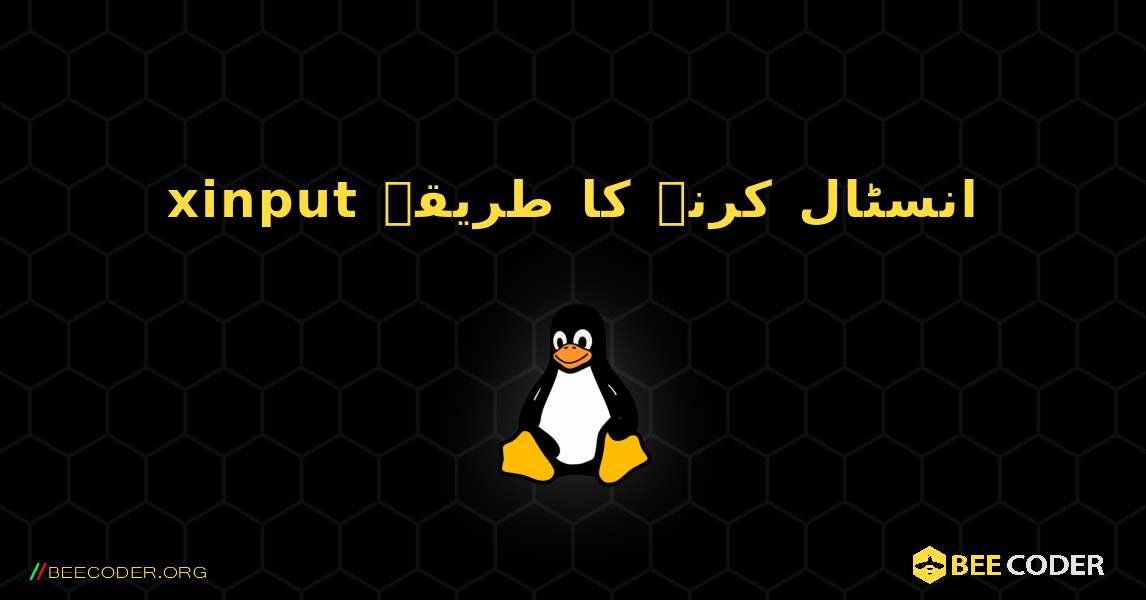 xinput  انسٹال کرنے کا طریقہ. Linux