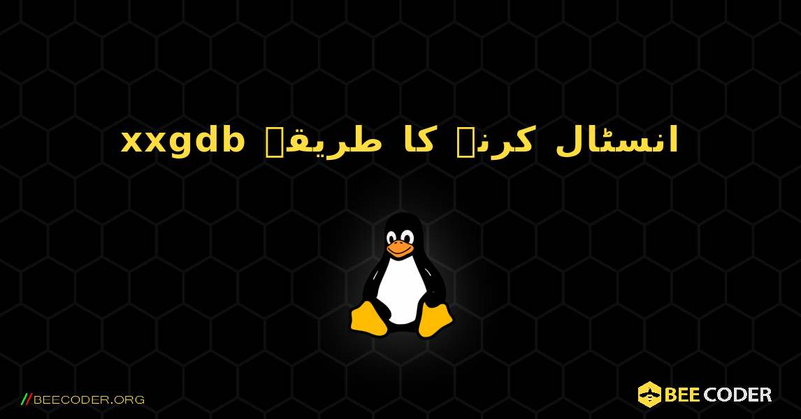 xxgdb  انسٹال کرنے کا طریقہ. Linux