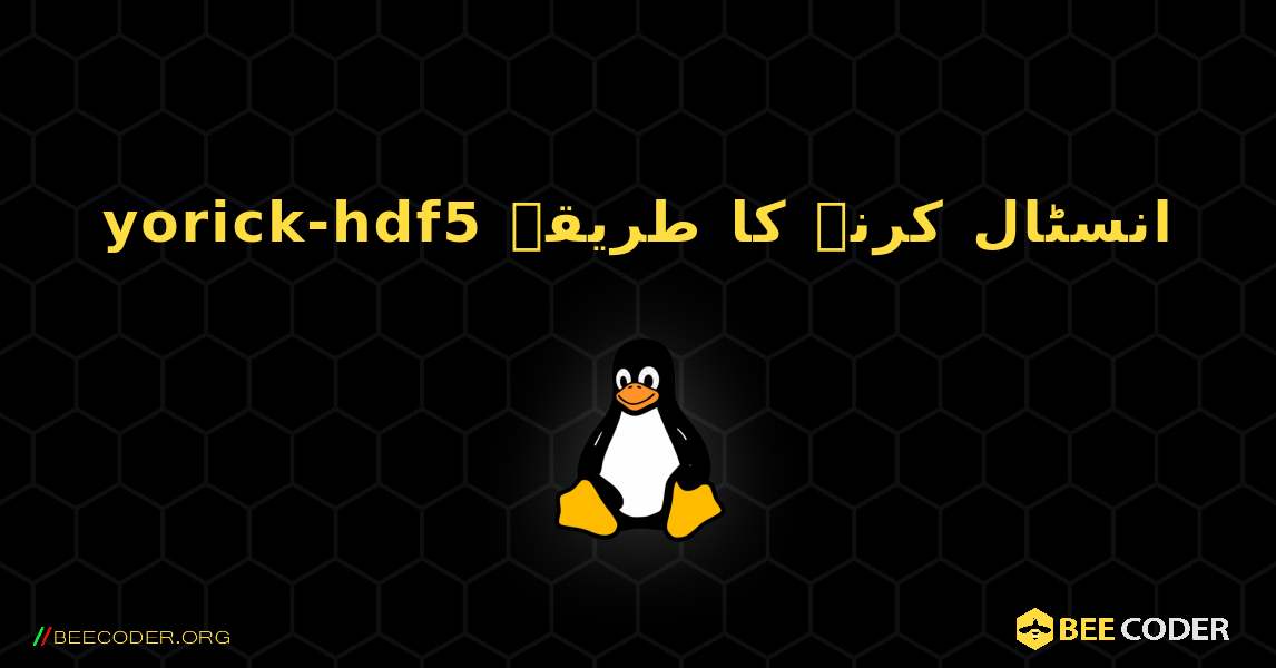yorick-hdf5  انسٹال کرنے کا طریقہ. Linux