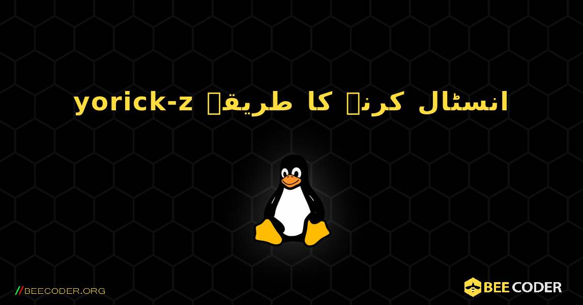 yorick-z  انسٹال کرنے کا طریقہ. Linux