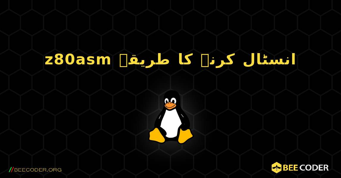z80asm  انسٹال کرنے کا طریقہ. Linux