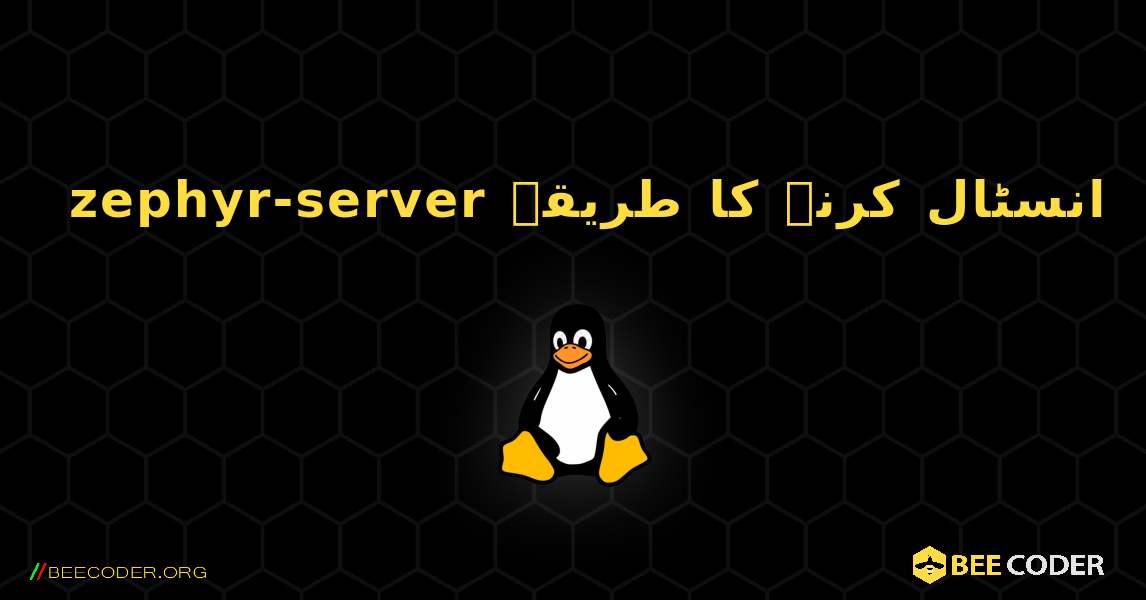 zephyr-server  انسٹال کرنے کا طریقہ. Linux