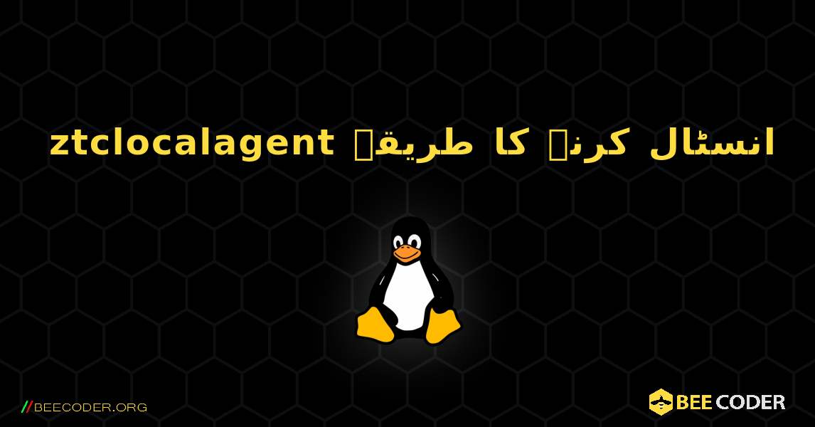 ztclocalagent  انسٹال کرنے کا طریقہ. Linux