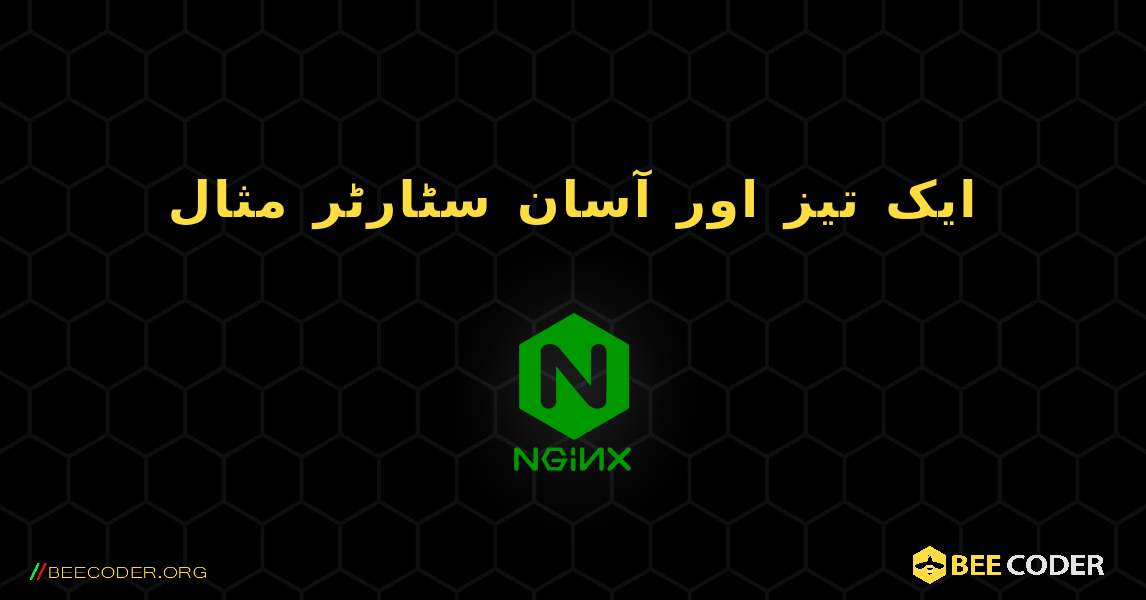 ایک تیز اور آسان سٹارٹر مثال. NGINX