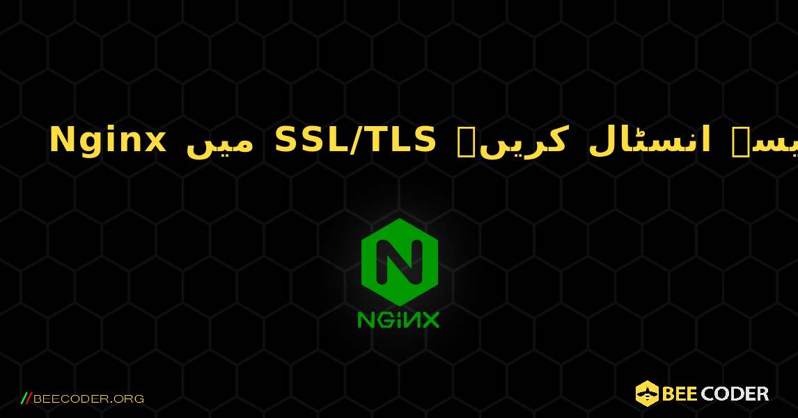 Nginx میں SSL/TLS سرٹیفکیٹ کیسے انسٹال کریں۔. NGINX